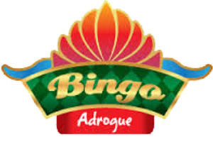 logo bingo adrogue 2014 300